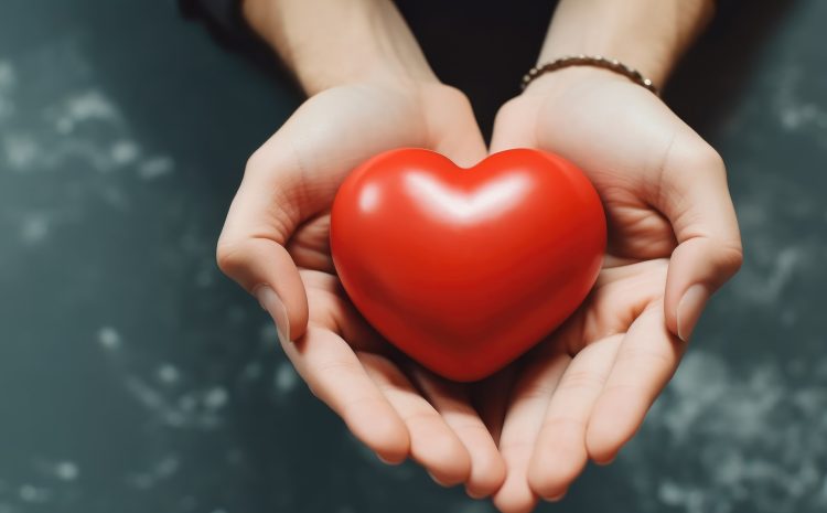 Close up hands holding red heart, health care, donate and family