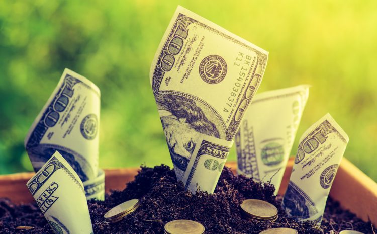 Us dollars and gold coin grow from the ground Box ; investment c