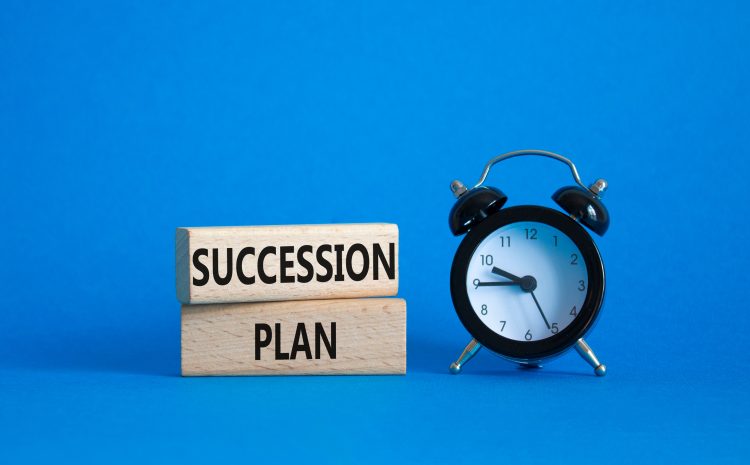  Business Succession and Estate Planning in Minnesota